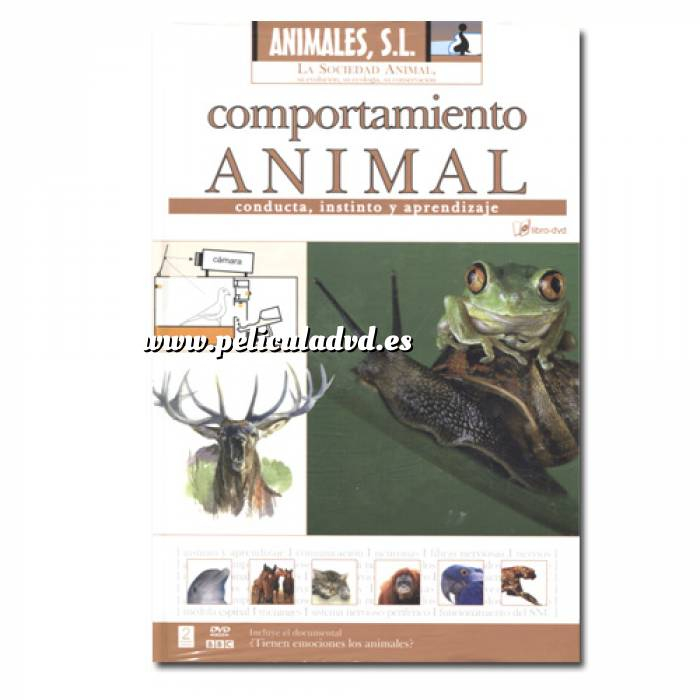 Imagen Animales S.L. DVD Animales S.L. - Comportamiento Animal (Últimas Unidades) 